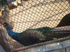 2-月亮河温泉度假酒店