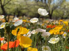 -名花谷生态庄园