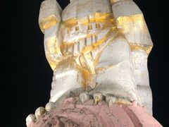 -大金鹰园