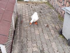 -金庭庄园酒店-停车场