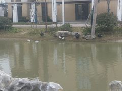 -国寿嘉园·苏州雅境