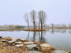 -大兴滨河森林公园