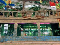 -南宫五洲植物乐园