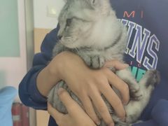 -宠颐生·恒爱宠物医院(静海店)