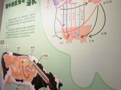 -君乐宝优致牧场