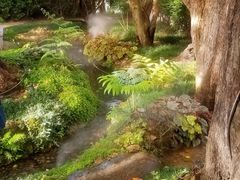 -Chom Cafe and Restaurant