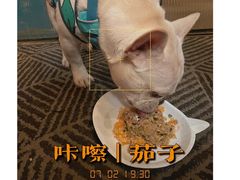 -the rug 飞毯 (朝阳公园店)