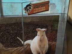 -昆明大悦城未来动物城(螺蛳湾中心店)