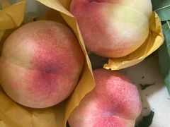 -老袁家蜜桃农场·阳山水蜜桃