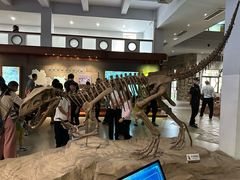 -自贡恐龙博物馆