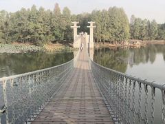 -东湖落雁景区