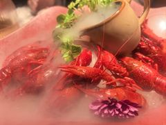 冰镇花雕小龙虾-杨氏青龙虾·羊蝎子(珠江路店)