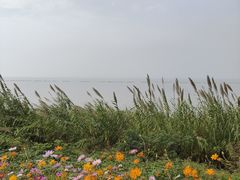 -洪湖生态旅游区