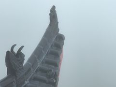 -蔡伦竹海