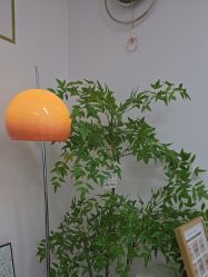 -变美丽半永久纹眉连锁·机器野生眉·洗眉