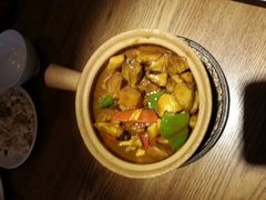 -雀舞云南菜(乐客城店)