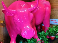 -小放牛炒菜馆(军校店)