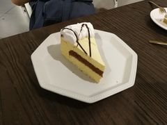 -有猫主题·治愈系猫咖(曾厝垵店)