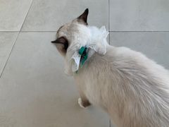 -怪兽屋·羊驼·猫咖·狗咖(俊华广场店)