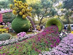 -杭州植物园