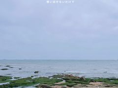 -小麦岛公园