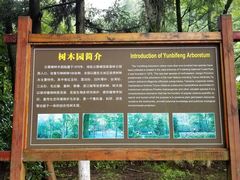 景点-云碧峰国家森林公园