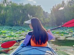 -WhaleSports户外水上运动俱乐部(朝阳公园店)