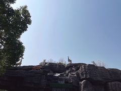-自然谷恐龙园