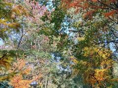 -西湖风景区-江洋畈生态公园