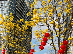 -洲头咀公园