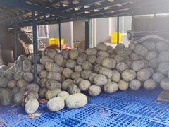 -红旗山庄(圭峰山店)