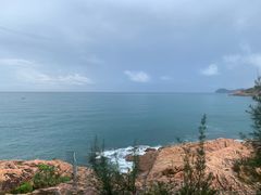 -广东惠东海龟国家级自然保护区