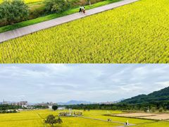 -风云岭森林公园