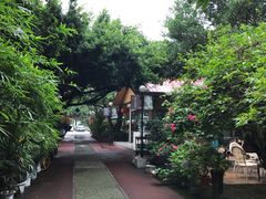 -德阳体育公园(旌阳街道)