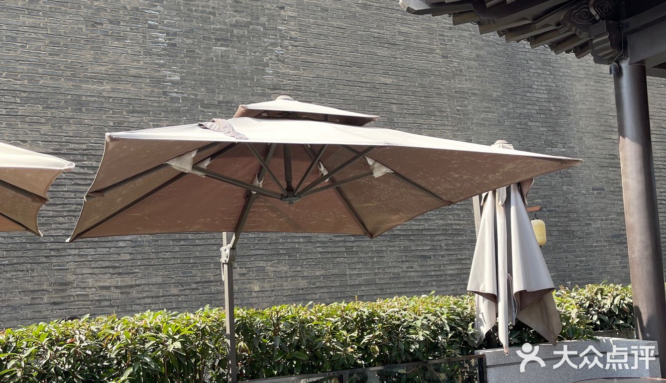 「朝阳coffee」春光明媚的天气为这里加分不少