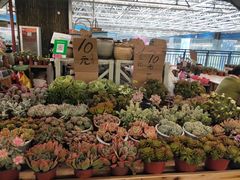 -昆明国际花卉拍卖交易中心