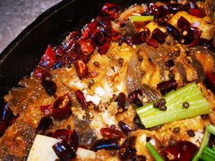 -老板恋上鱼(恒隆广场店)