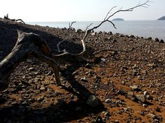 -平湖九龙山旅游度假区