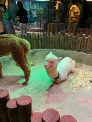 -宝燕乐园(闵行旗舰店)