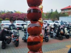 -中国农业大学(西校区)