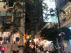 -兰桂坊