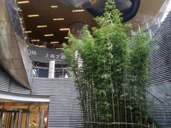-上海中心大厦