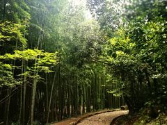 -径山寺