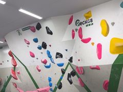 -绿壁虎攀岩基地(Tcar店)