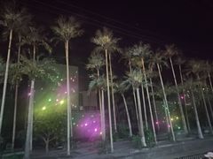 -三亚红色娘子军演艺公园景区