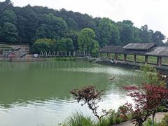 -铁山坪森林公园