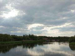 -大兴滨河森林公园