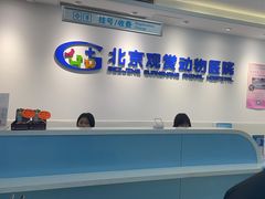 -北京观赏动物医院·24小时大型综合·猫专科·异宠专科