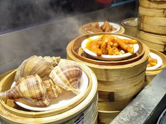 海螺-宝塘茶楼