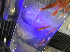 -唐宫海鲜舫